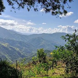  Farm stay Lime Tree Farm, Blue Mountains Jamaica